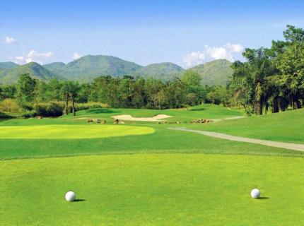White Tees Give You Shortest Distance