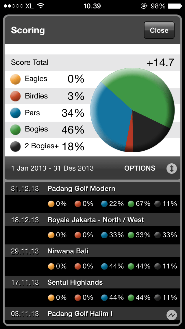 2013 Golf Scores Breakdown