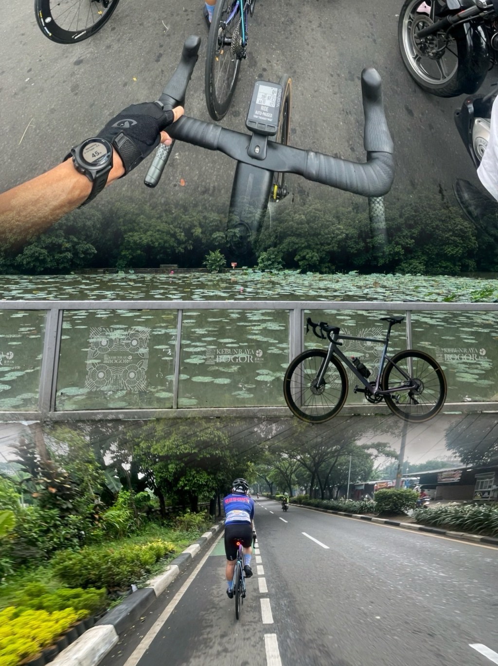 Century Ride ke Kebun Raya&nbsp;Bogor